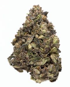Sour Diesel x Sherb Cream Pie flower by Goldflower