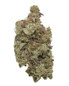 Sour Spritzer flower by Eden