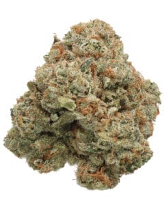 Star Island 43 Goldflower premium whole flower