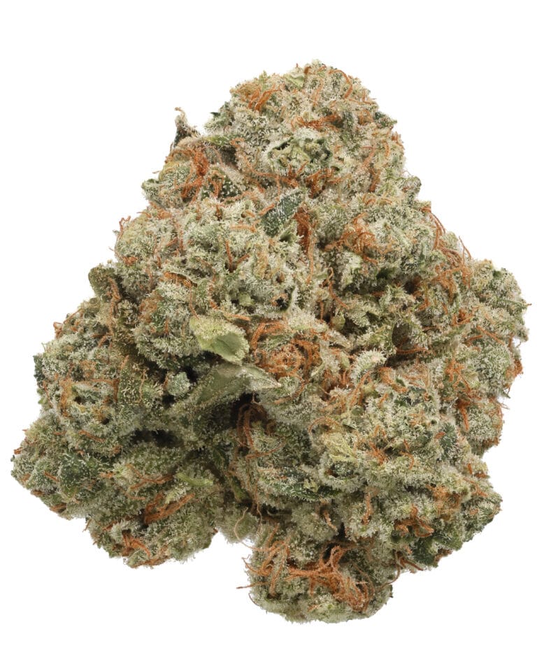 Star Island 43 Goldflower premium whole flower