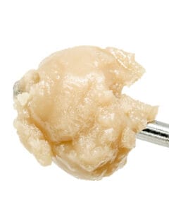 Gator Runtz 90u Live Rosin from Cookies with glossy golden solventless texture and papaya raspberry fuel profile