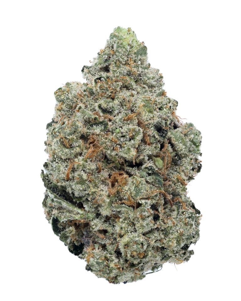 Giraffe Head flower from Goldflower with dense frosted buds, purple accents, orange pistils, and Heavyweight Heads packaging