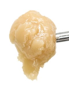 Glazed Donut Live Rosin from Cookies with glossy golden solventless texture and sweet frosting pastry flavor profile