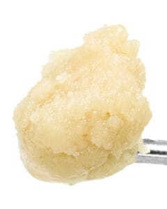 Jelly Cake Live Rosin Badder from Goldflower with pale golden creamy solventless rosin texture