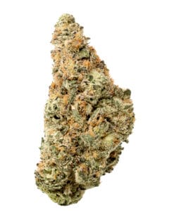 Orange Z flower from Curaleaf with sticky green buds, orange pistils, and heavy trichome coverage