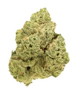 Sour Chem Fusion flower by Goldflower