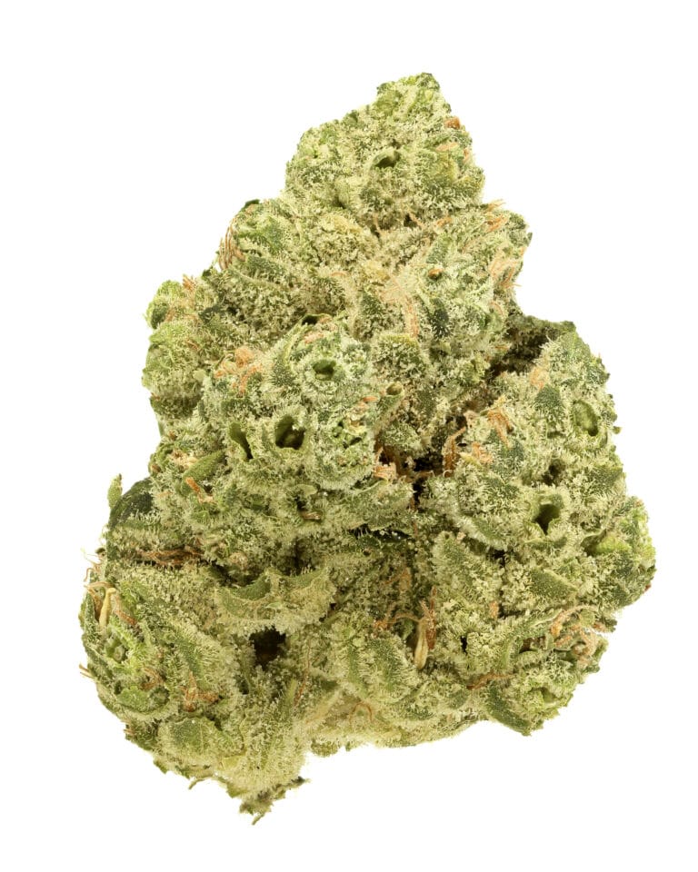 Sour Chem Fusion flower by Goldflower