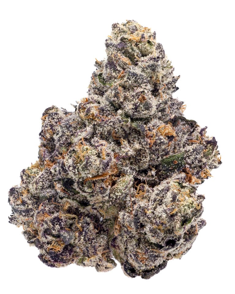 Sour Perm #37 flower by The Flowery with dense green buds, purple accents and visible trichomes