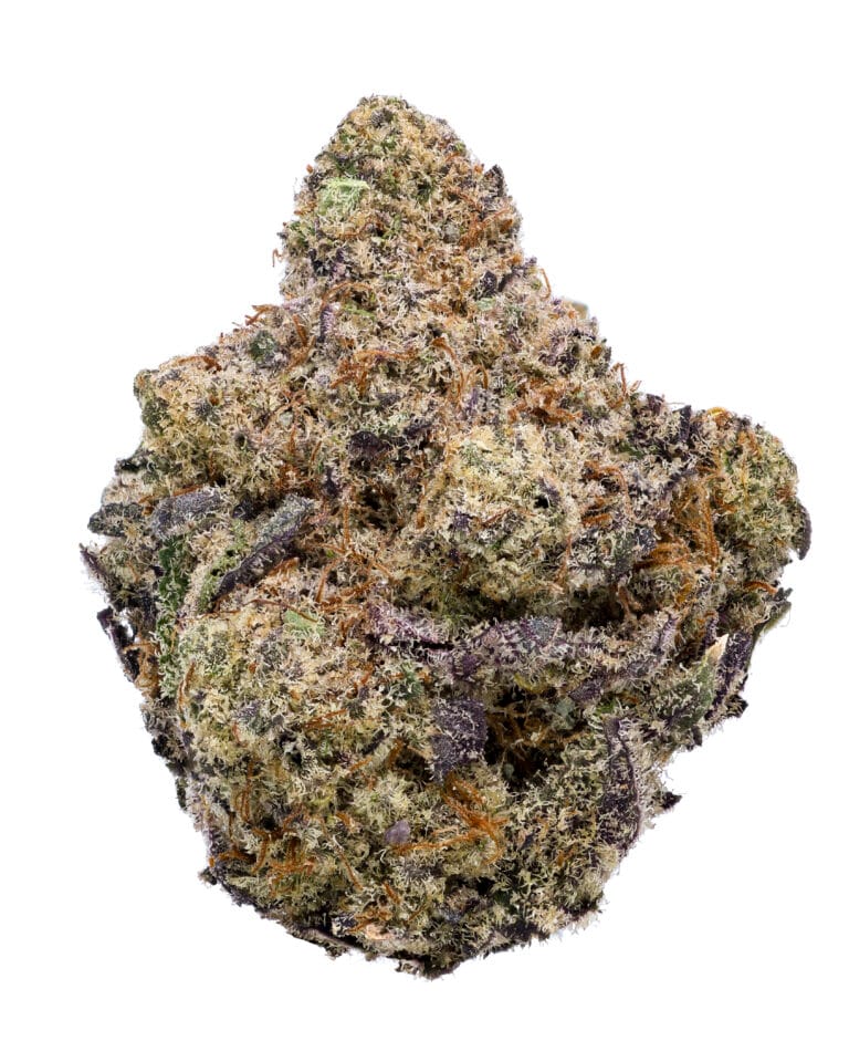 Sunshine Reaper flower from Goldflower with dense frosty buds, orange pistils, sticky resin, and lemon kush gas profile
