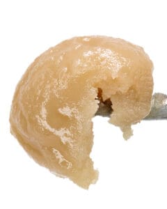 Trop Cherry Live Rosin Badder from Goldflower with golden 90u solventless rosin texture and cherry citrus flavor profile