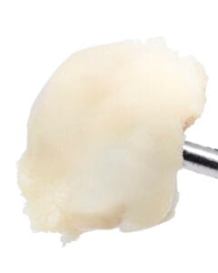 Bananalicious Live Rosin by Sunshine State at GrowHealthy