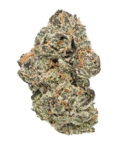 Cherry Yuzu flower by Sunshine State at GrowHealthy