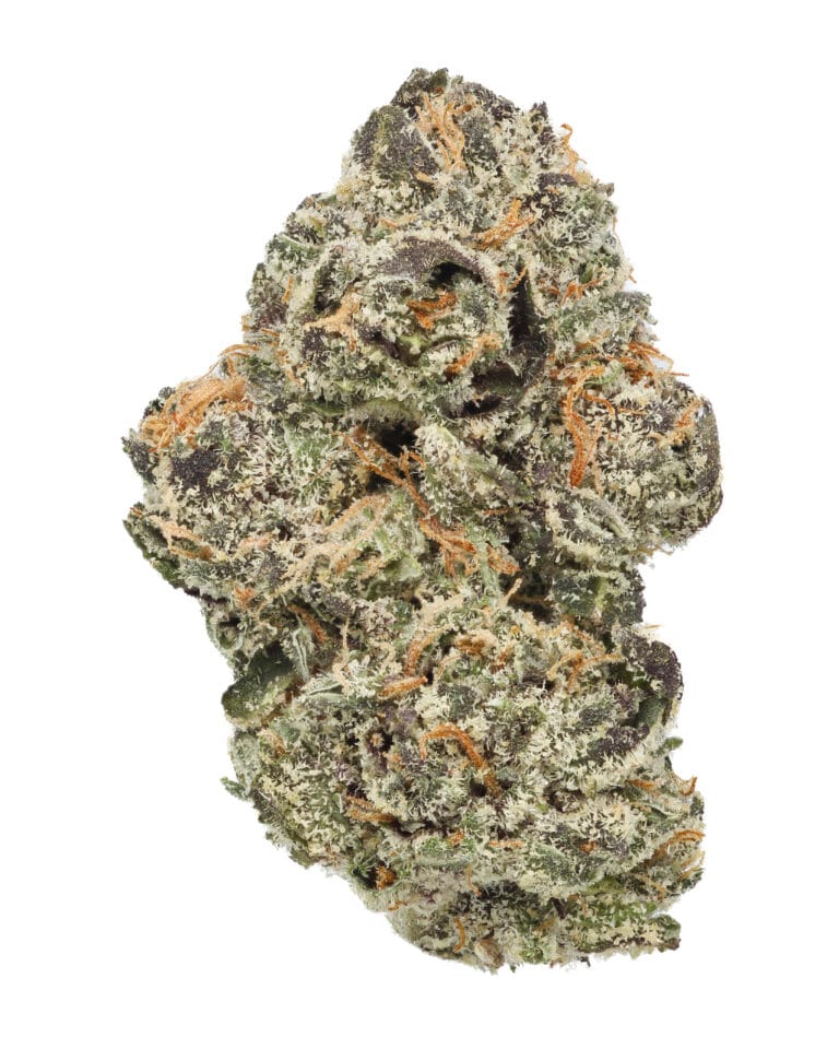 Cherry Yuzu flower by Sunshine State at GrowHealthy