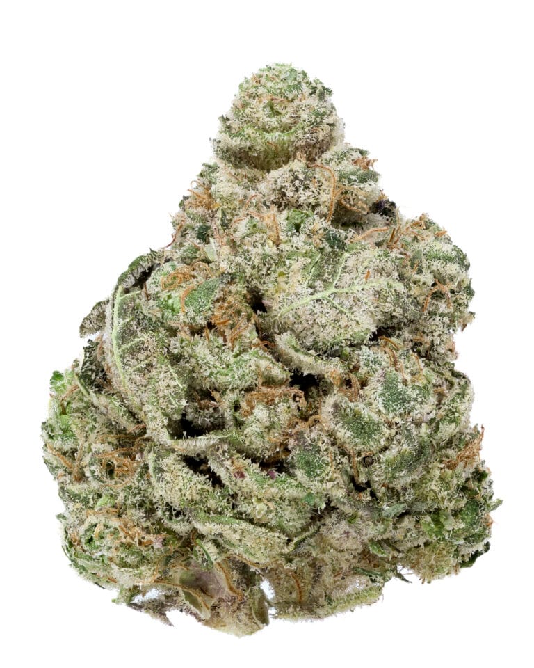 Purple Flamingo flower from Goldflower with vibrant purple coloration, dense frosted buds, orange pistils, and Heavyweight Heads packaging