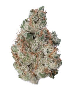 Skunky Monkey flower by Sunshine State at GrowHealthy