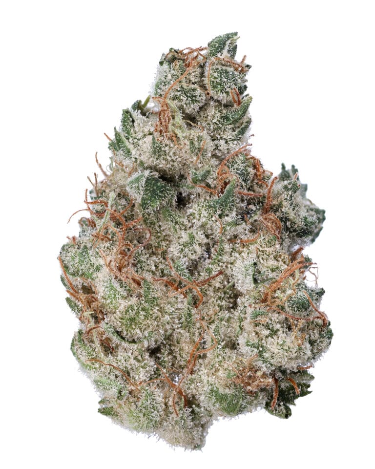 Skunky Monkey flower by Sunshine State at GrowHealthy