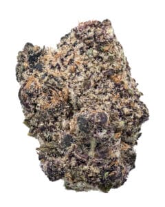 Berry Bonds flower at Indiva