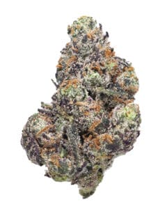 Blue Lobster GrapeLyfe Pheno #2 flower at Goldflower
