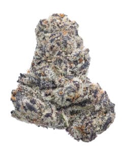 Blue Lobster Zangria Pheno #1 flower at Goldflower