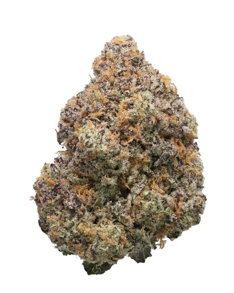 Blue Thunder flower by Octane at Goldflower