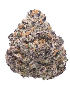Forever FumeZ pheno #1 flower at Goldflower