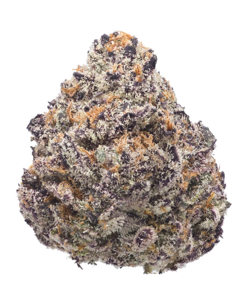 Forever FumeZ pheno #1 flower at Goldflower