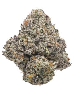 Forever FumeZ pheno #2 flower at Goldflower