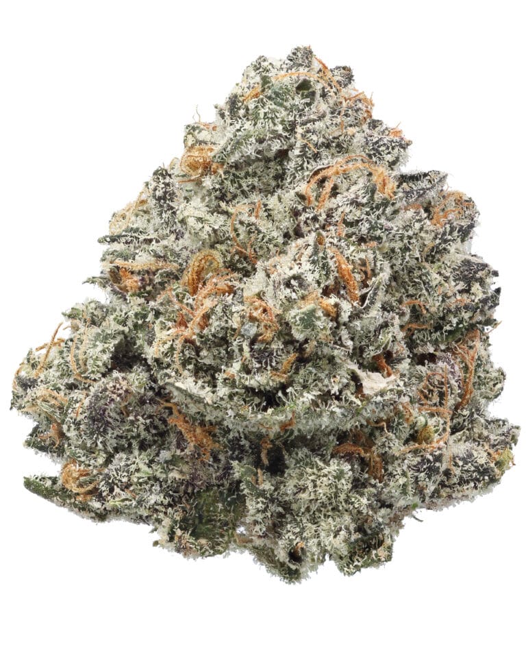 Forever FumeZ Pheno #6 Batch 2 flower at Goldflower