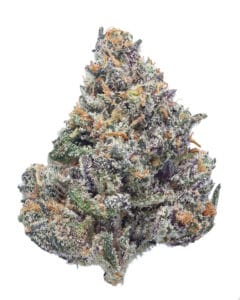 Forever FumeZ pheno #6 flower at Goldflower