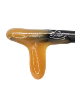 Jelly Rancher live hash rosin from Rosslyn