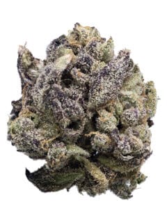 Kush Mints flower at Indiva