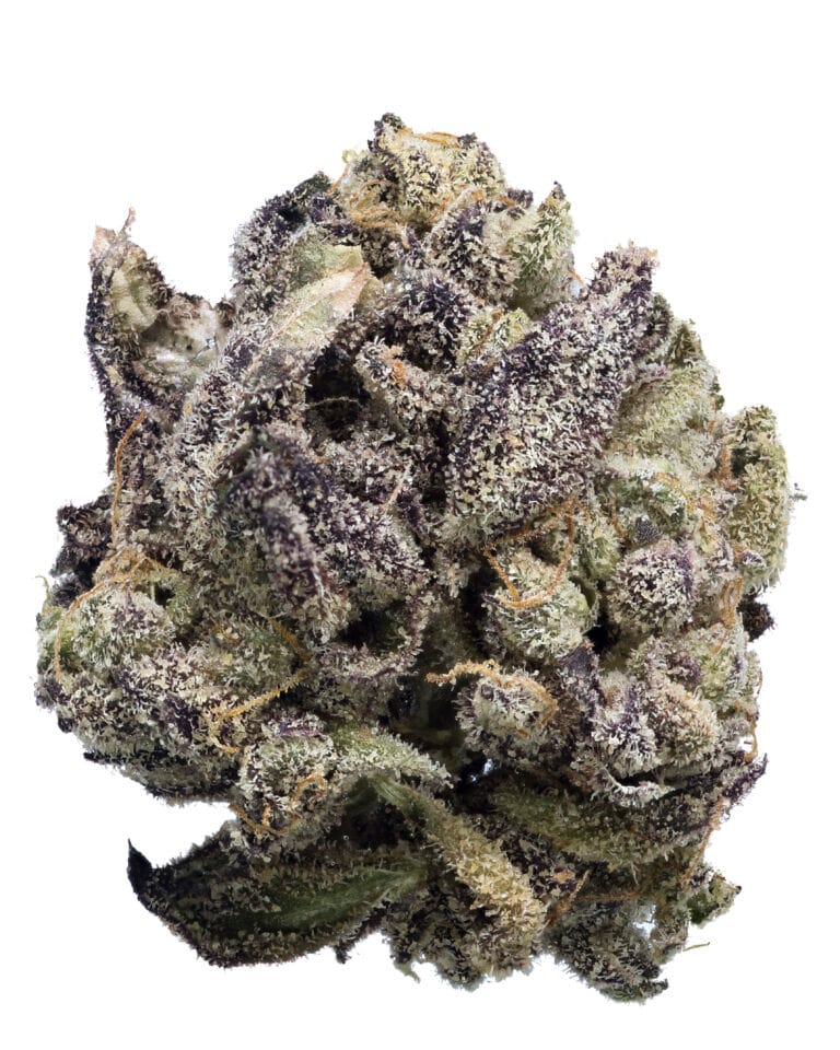 Kush Mints flower at Indiva