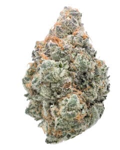 Papaya Drip #3 flower at Curaleaf
