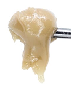 Royal Apple live rosin badder at Goldflower