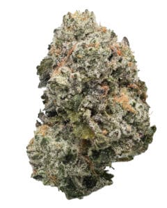 Tahoe Gelato Fuel flower at Goldflower