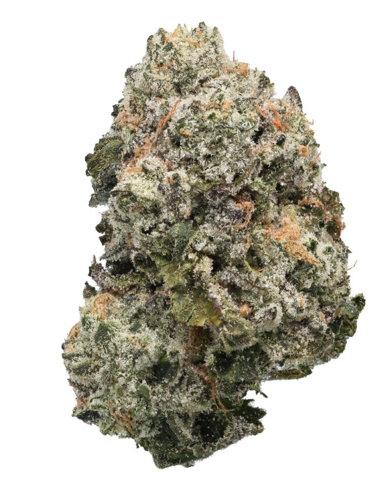 Tahoe Gelato Fuel flower at Goldflower