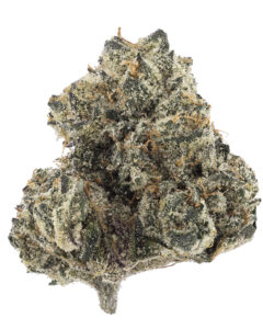 Frog Poison from Eden