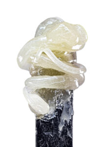Grape Gas Fresh Press Live Rosin from Ideal Cannabis at Goldflower