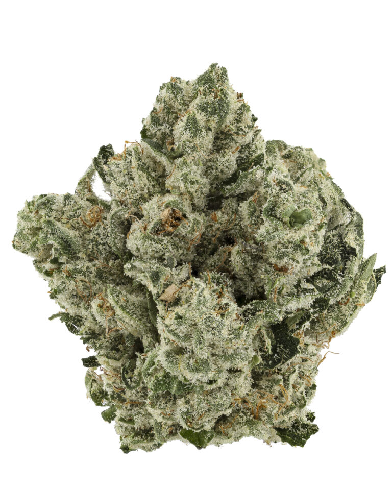 Key Lime Pie from Heavyweight Heads at Goldflower
