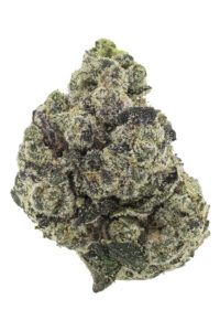 Purple Flamingo from Heavyweight Heads at Goldflower