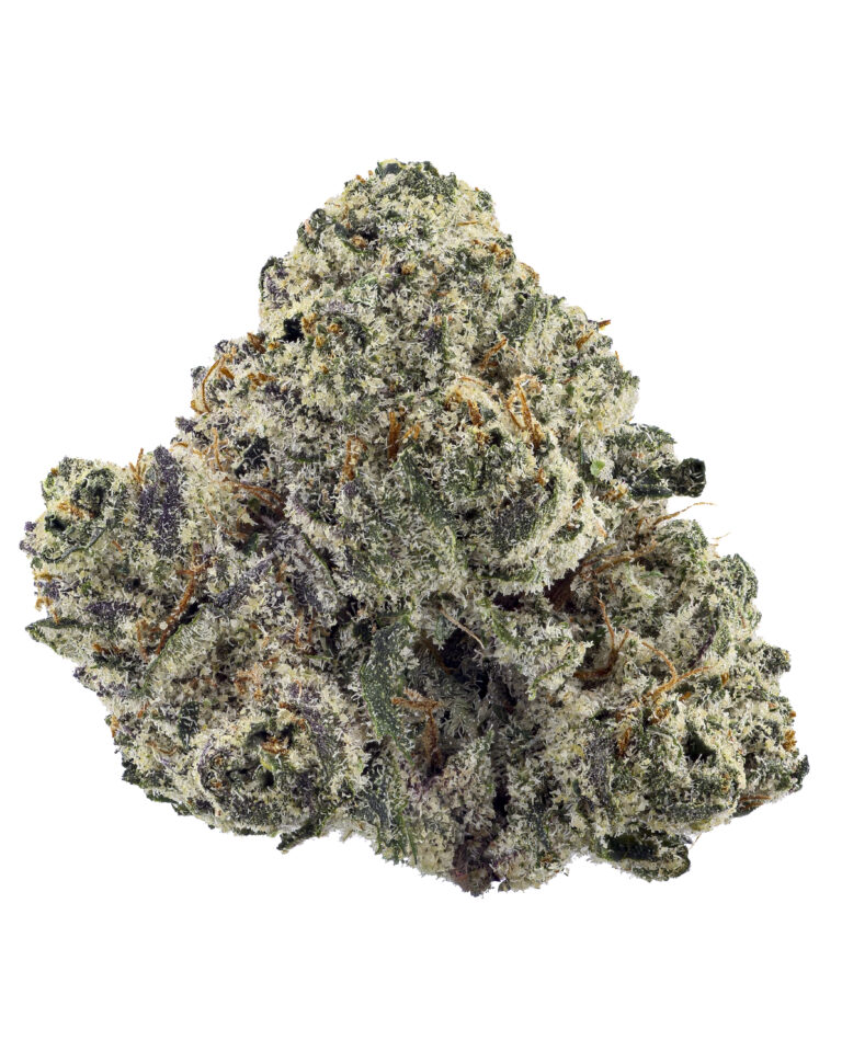Sun Fuel from Heavyweight Heads at Goldflower