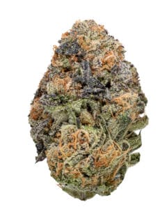 Sundae Zkittlez flower at Indiva